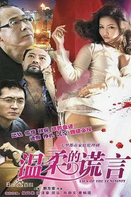 温柔的谎言 海报