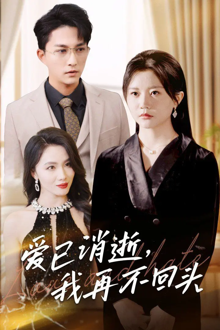 爱已消逝我再不回头 海报